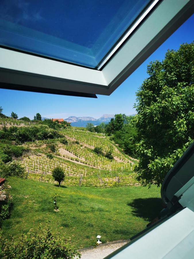 L'Etang De La Tourne Bed & Breakfast Les Marches Bagian luar foto