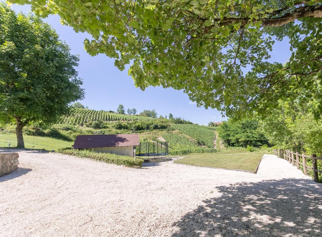 L'Etang De La Tourne Bed & Breakfast Les Marches Bagian luar foto