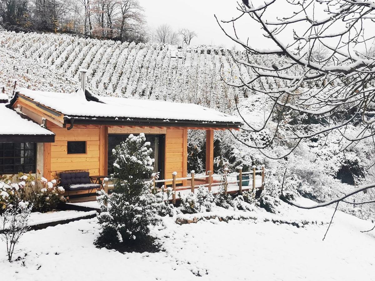 L'Etang De La Tourne Bed & Breakfast Les Marches Bagian luar foto